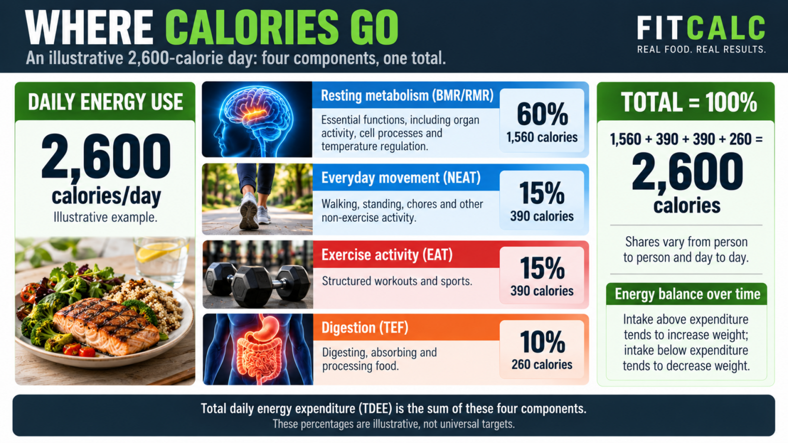 Illustrative 2,600-calorie day: resting metabolism 60%, everyday movement 15%, exercise 15%, and digestion 10%, totaling 100%.
