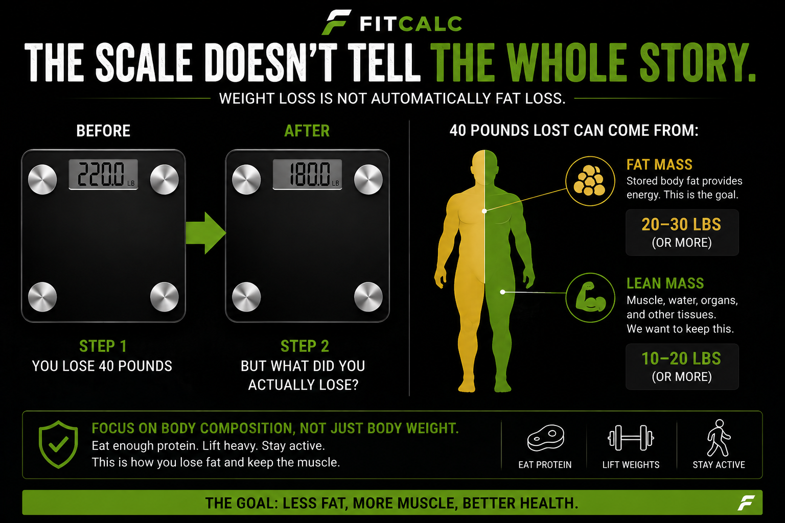 Graphic showing how weight loss is divided between losing fat and losing muscle