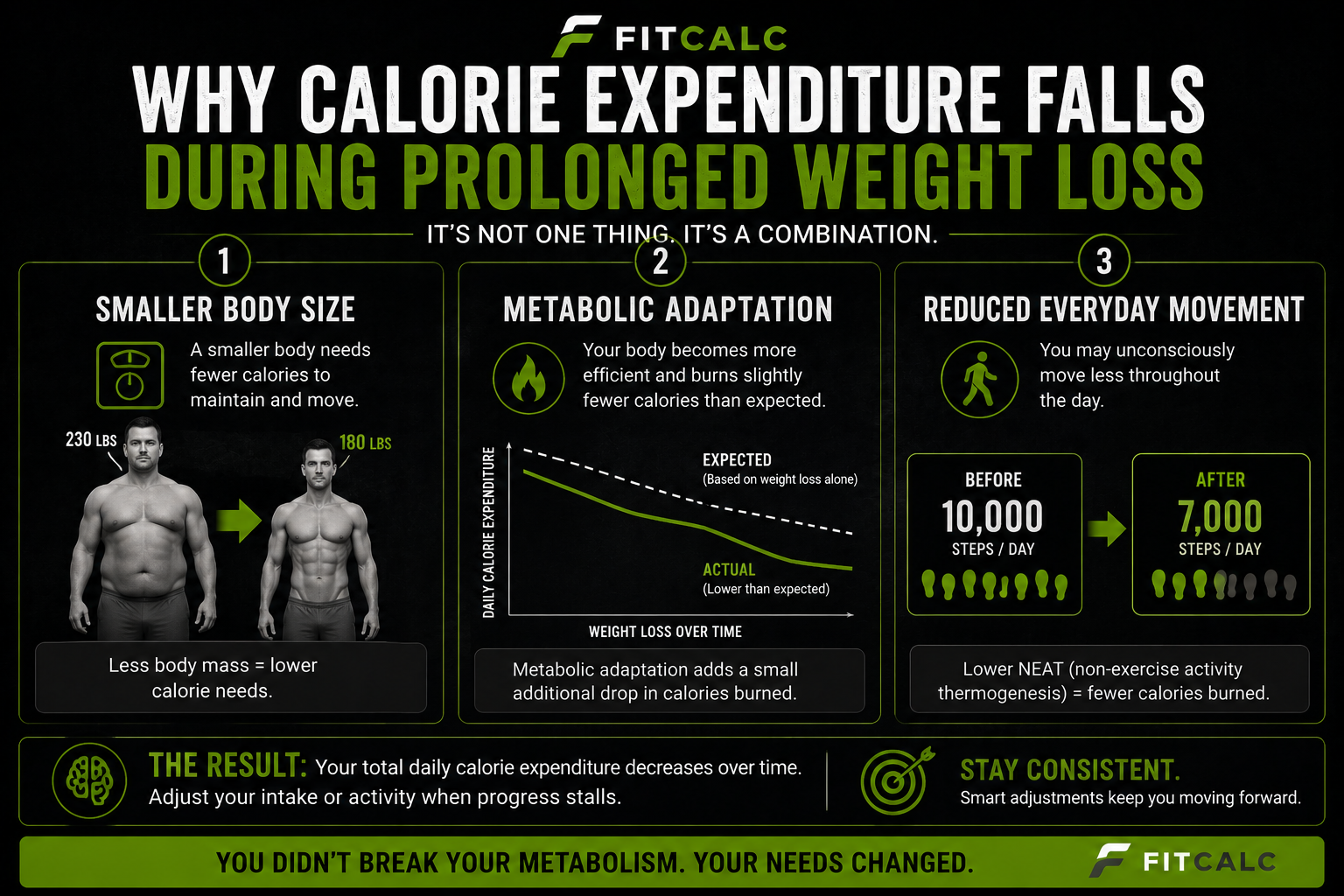 Graphic showing why calorie expenditure falls during prolonged weight loss