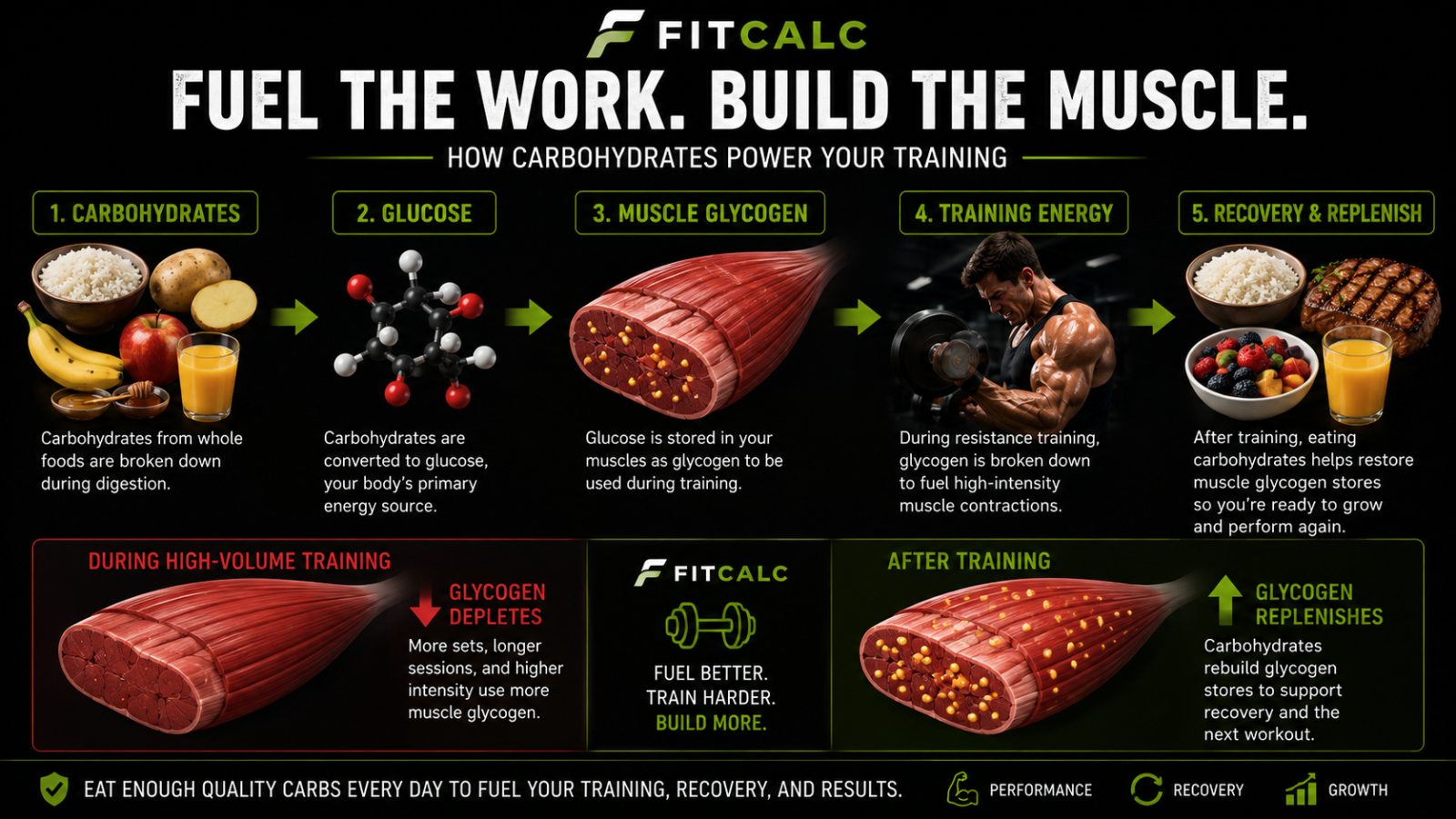 Graphic showing the importance of carbohydrates during resistance training