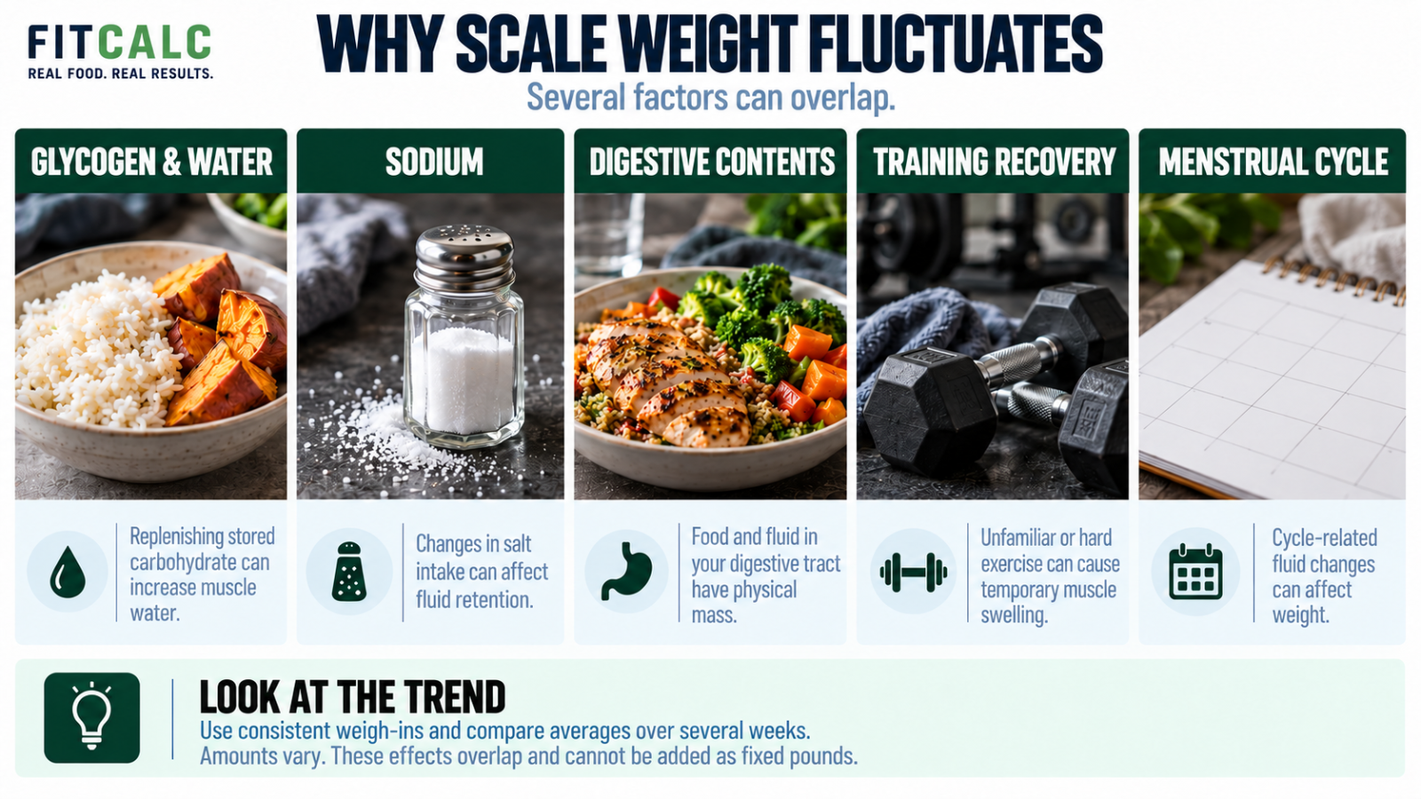 Five overlapping influences on scale weight: glycogen and water, sodium, digestive contents, training recovery, and the menstrual cycle.