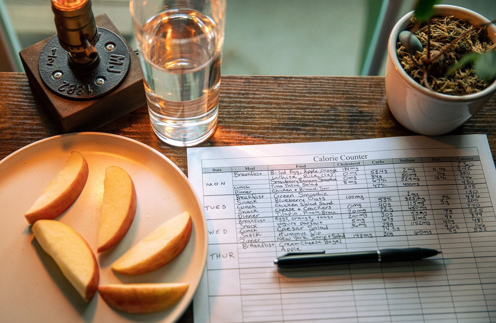 Photo showing a plate of fruit with a handwritten calorie page